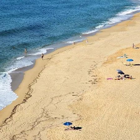 Apartamento Costa Verde, With A Terrace Overlooking The Sea And Close To The Pristine Dunes Torre dei Corsari